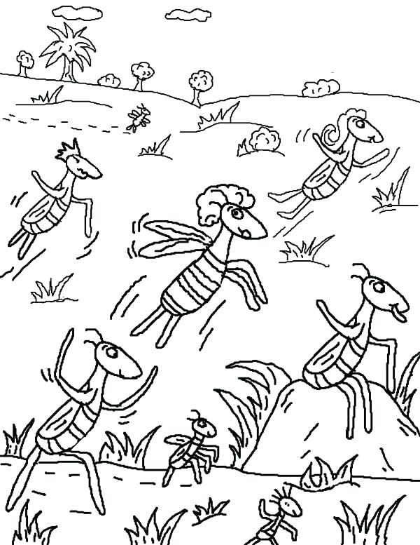 600x777 Ten Plagues Coloring Pages