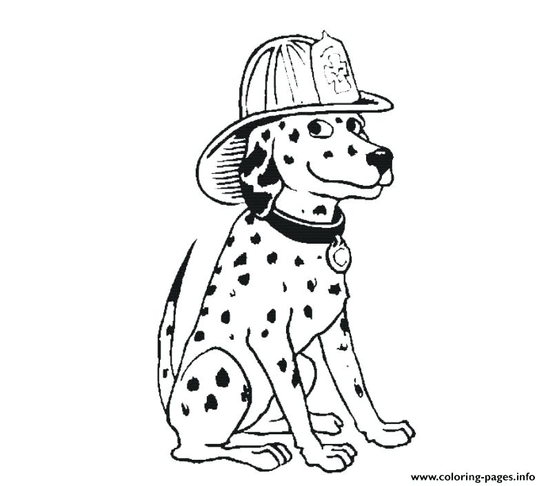 792x704 Dalmation Coloring Pages Dalmatian Fire Dog Coloring Pages 101