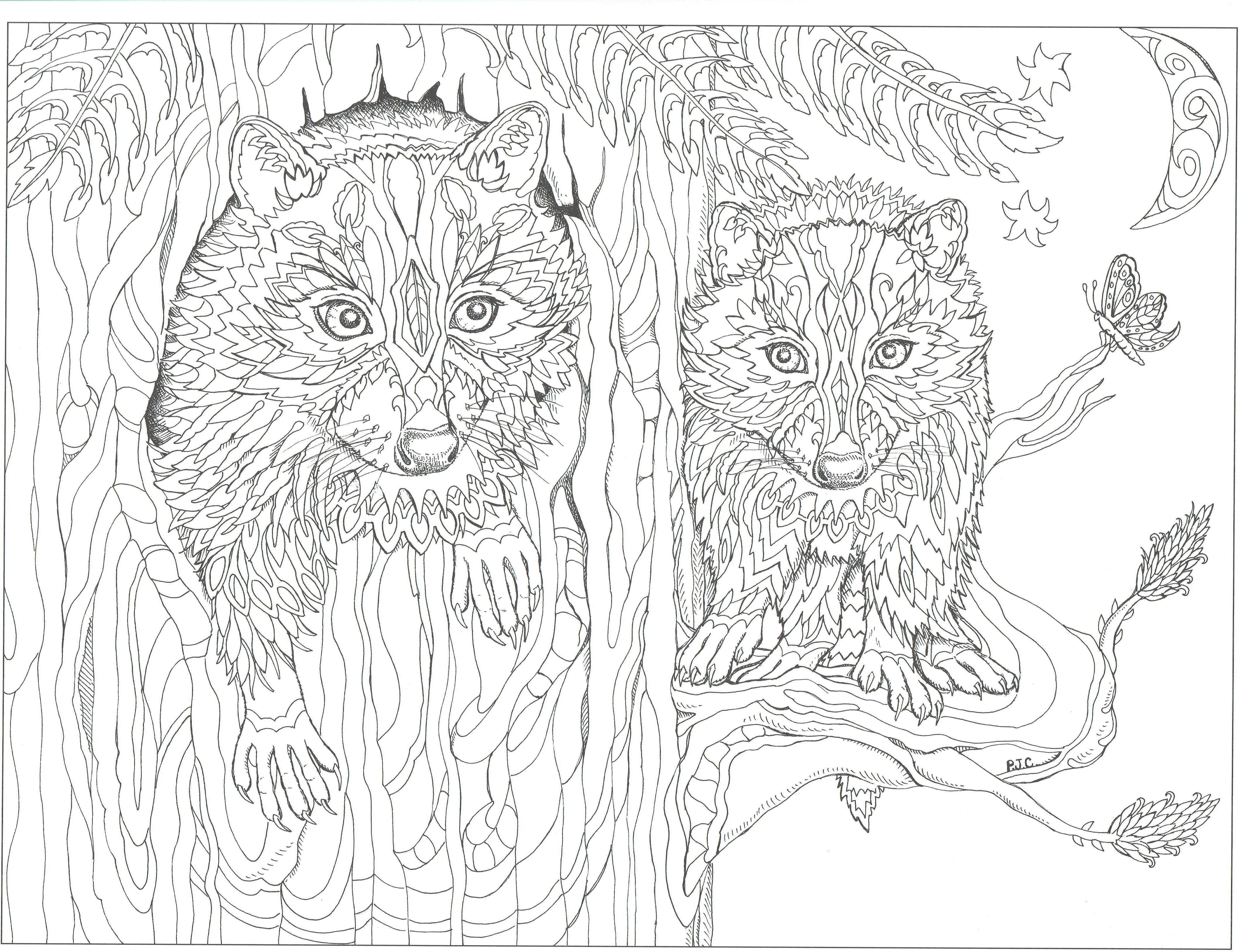 4260x3256 Sampler 11x17 Coloring Pages This Will Print O