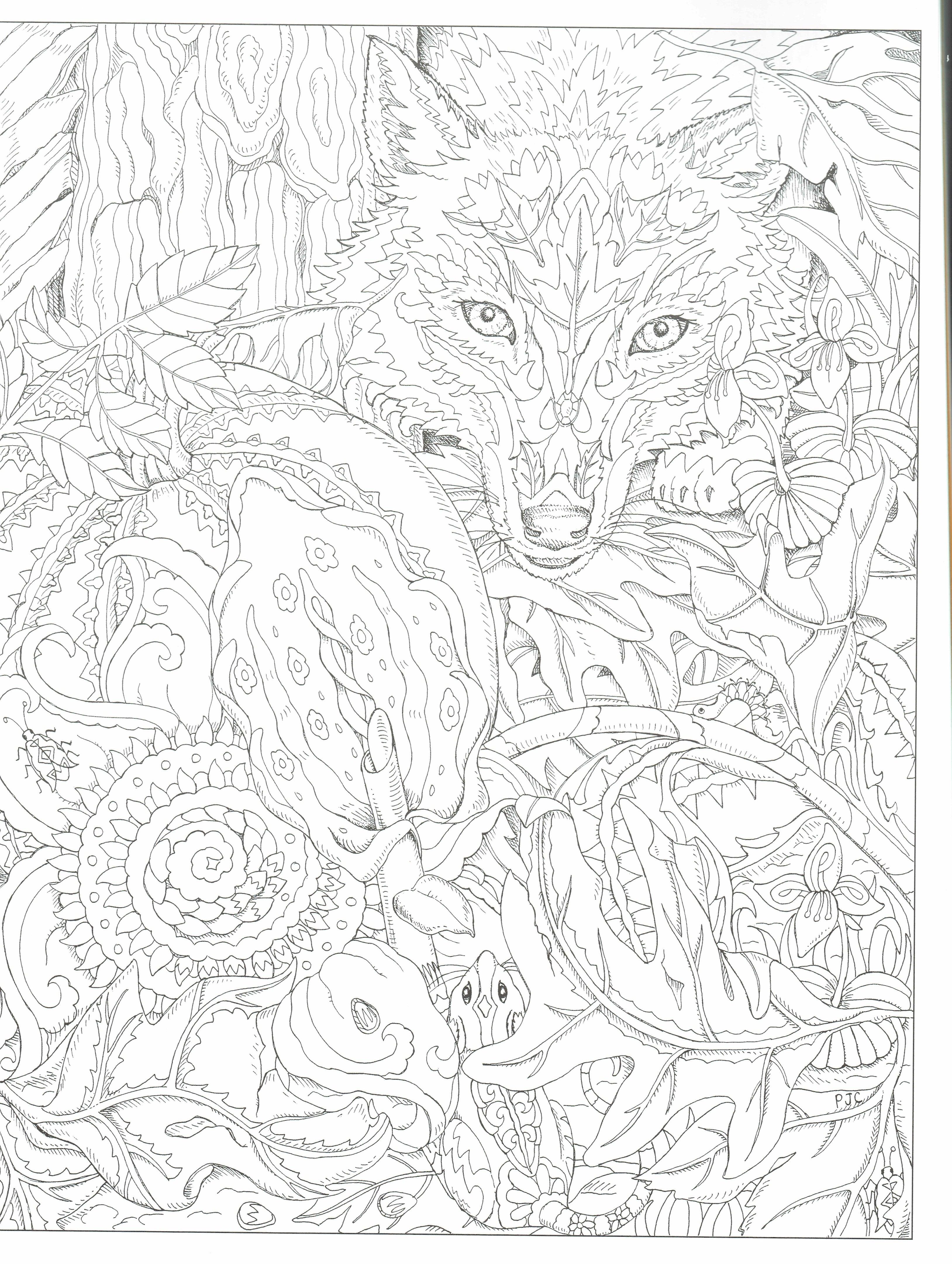 3256x4323 This Will Print On 11x17 Just As Nice As 8.5x11 Adult Coloring
