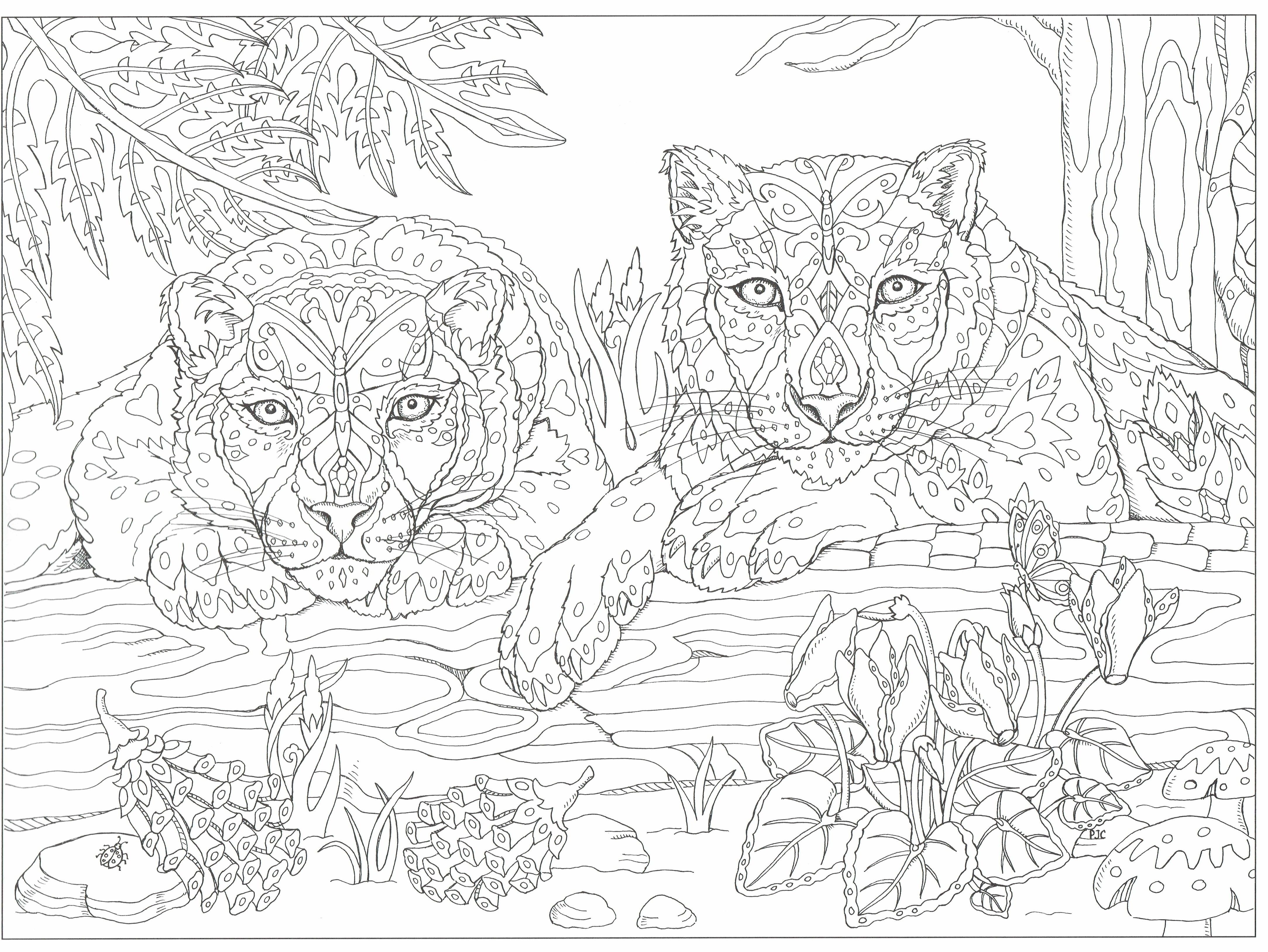 4334x3256 This Will Print On 11x17 Just As Nice As 8.5x11 Colouring