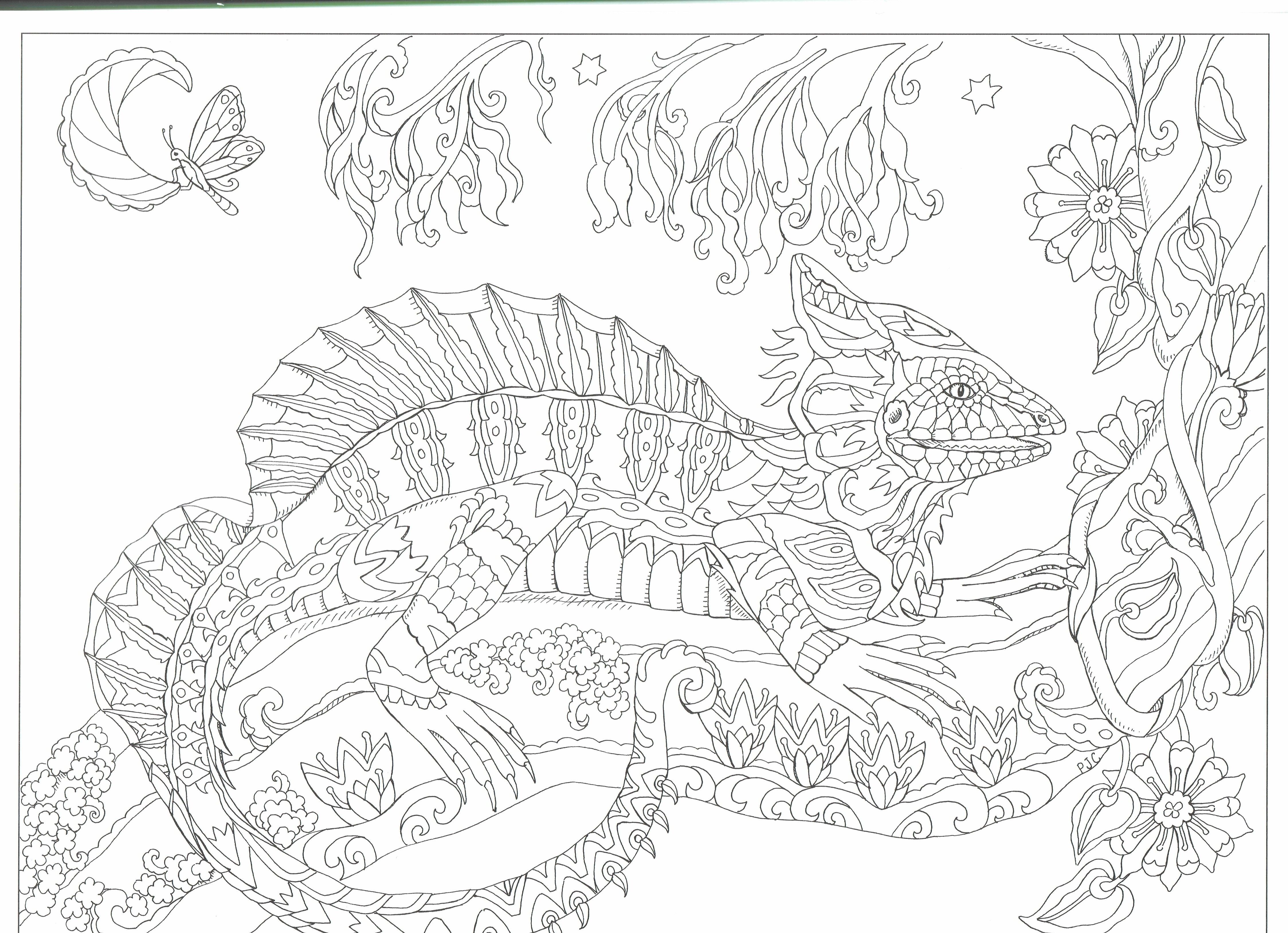 4495x3256 Easy 11x17 Coloring Pages This Will Print On 1