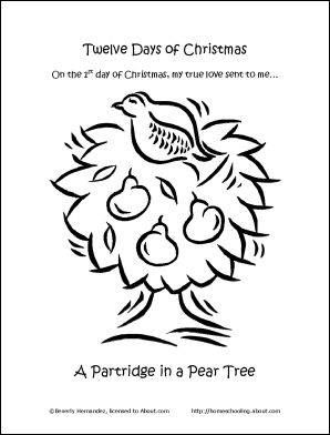 298x392 530 Best 12 Days Of Christmas Images On 12 Days