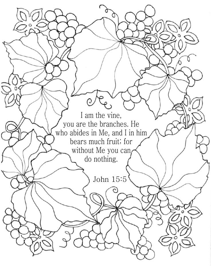 736x931 I Am The Vine