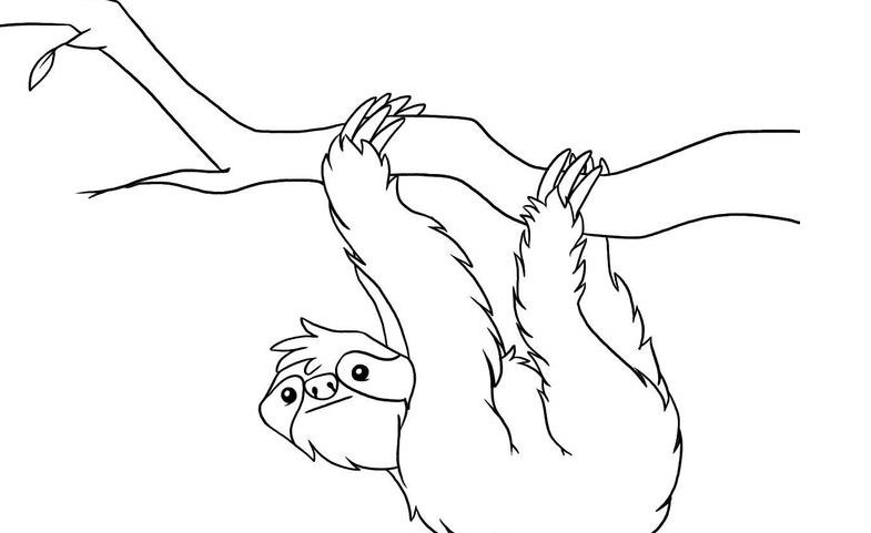 785x481 2nd Grade Coloring Pages 2nd Grade Science Coloring Pages Kids