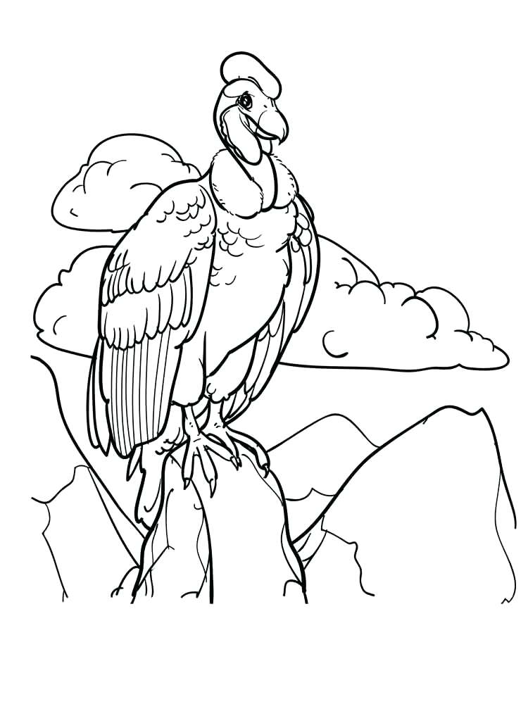 750x1000 Vulture Coloring Pages Vultures Birds Coloring Pages 3 King