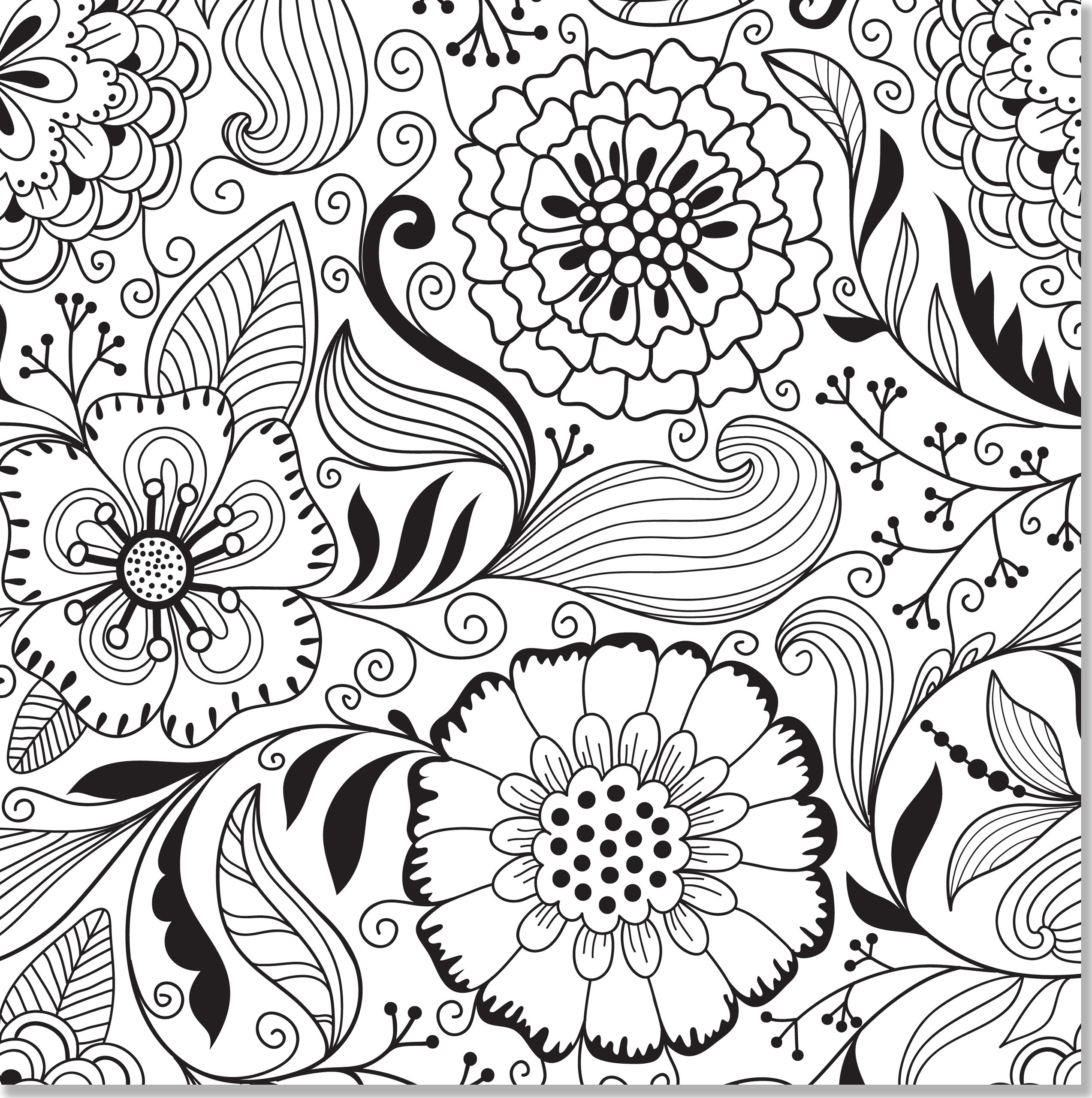 2546x2560 Adult Free Coloring Pages