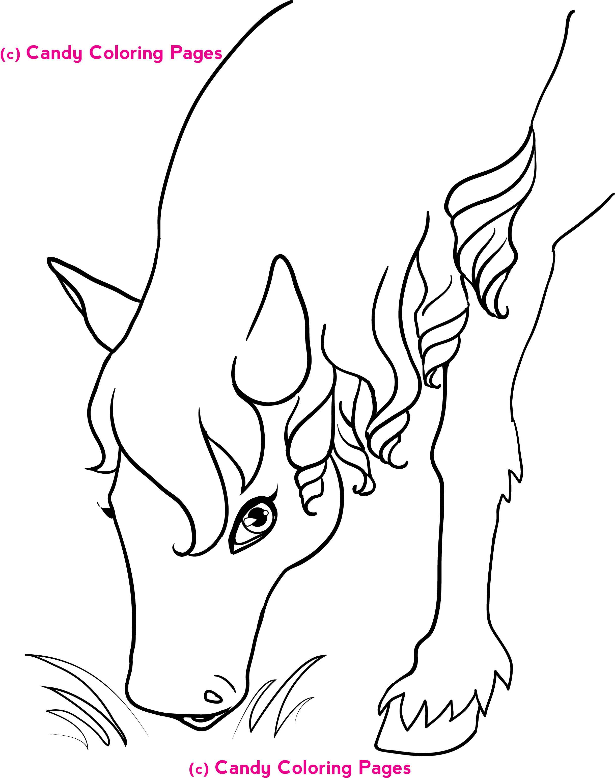 2438x3083 3rd Grade Coloring Pages Fun Sheets For Stimulating Your Kids' Skill