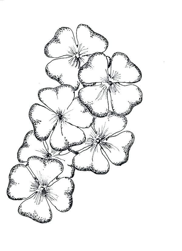 600x825 Four Leaf Clover Coloring Pages Four Leaf Clover Coloring Pages