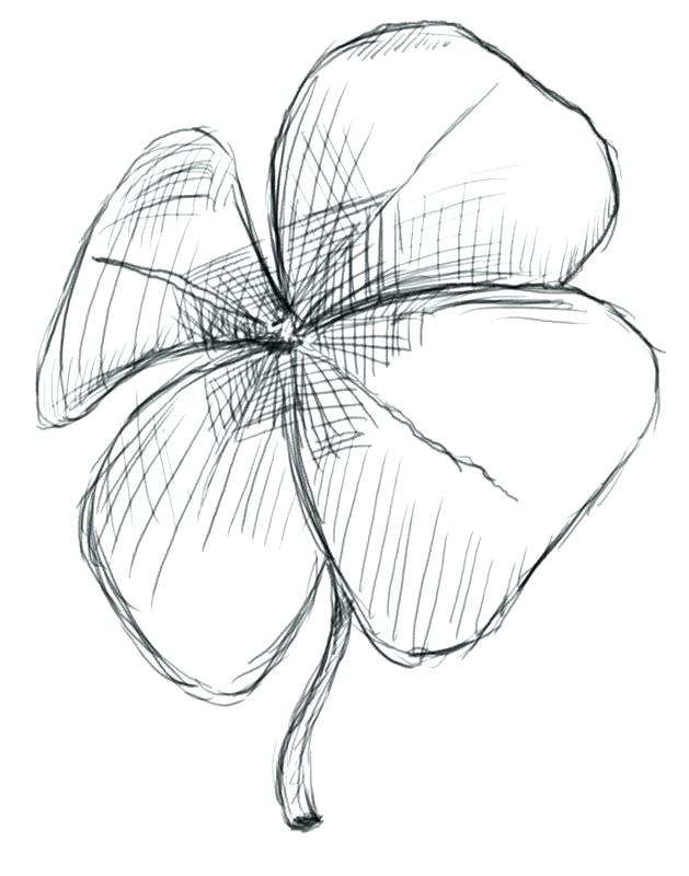 629x800 Astounding 4 Leaf Clover Coloring Page