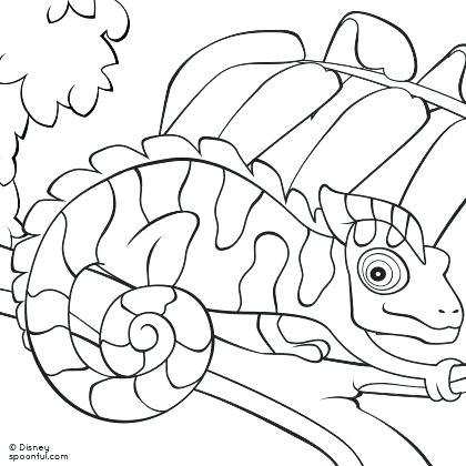 420x420 Chameleon Coloring Pictures Chameleon Coloring Page Pin Your