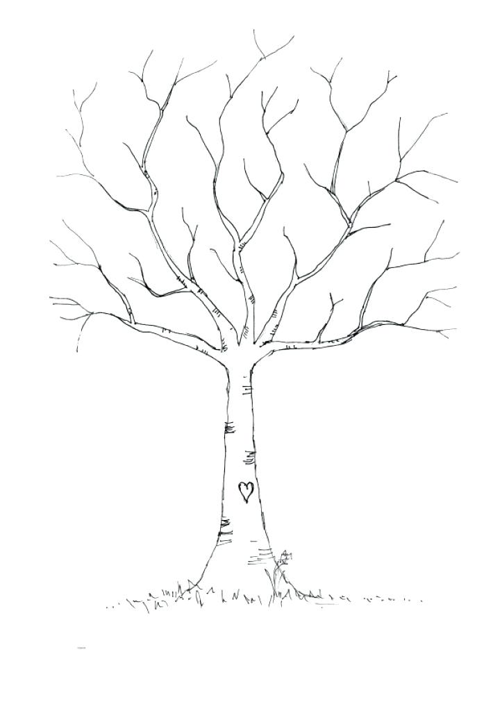 723x1024 Bare Tree Coloring Page Pages 5 Colouring 4283