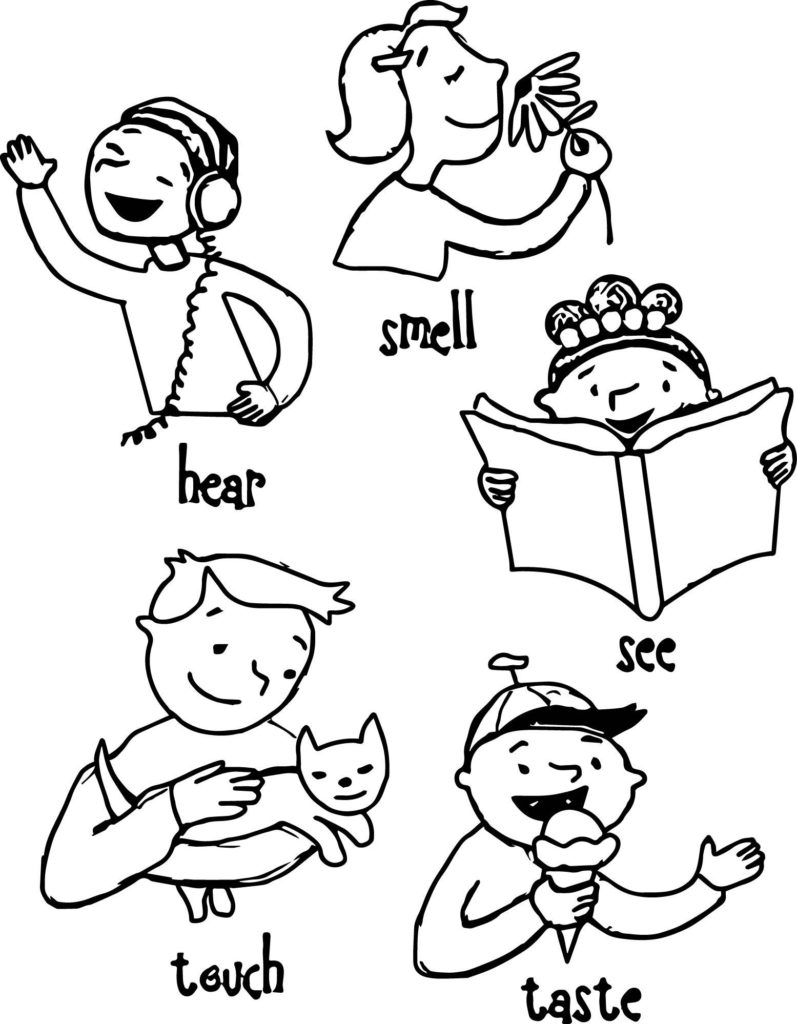 797x1024 5 Senses Coloring Pages Inside Isolution Me