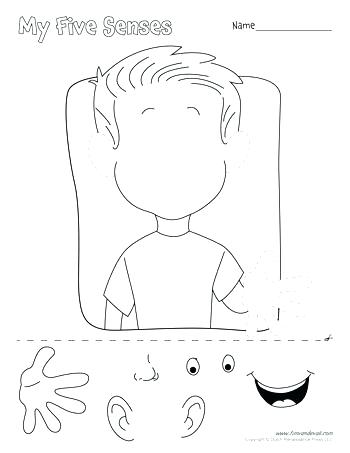 350x453 5 Senses Coloring Sheet Five Senses Five Senses Coloring Pages