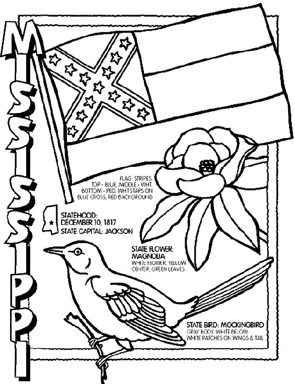 50 States Coloring Pages
