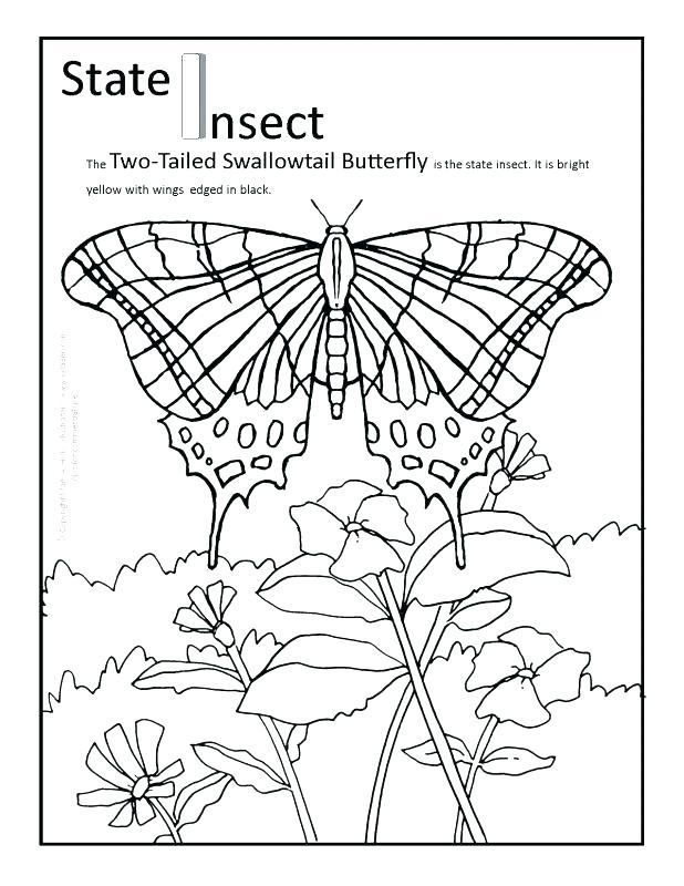 618x800 State Coloring Pages Coloring Pages Map Of United States Coloring