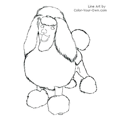 500x500 Poodle Coloring Page Poodle Skirt Coloring Page