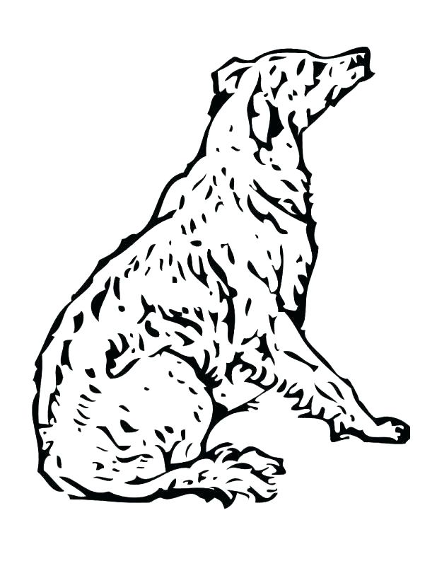618x800 Poodle Coloring Page Puppy Coloring Page Coloring Page Animal