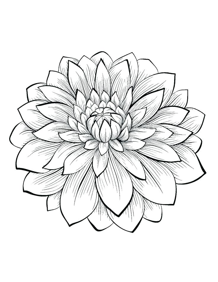 736x950 Flower Power Coloring Pages Here Are Flower Printable Coloring