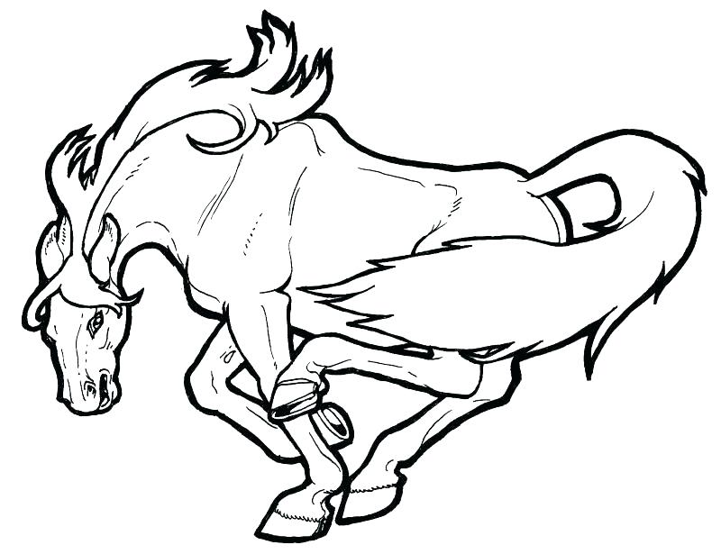800x615 Colorful Mustang Pictures To Color Image Collection