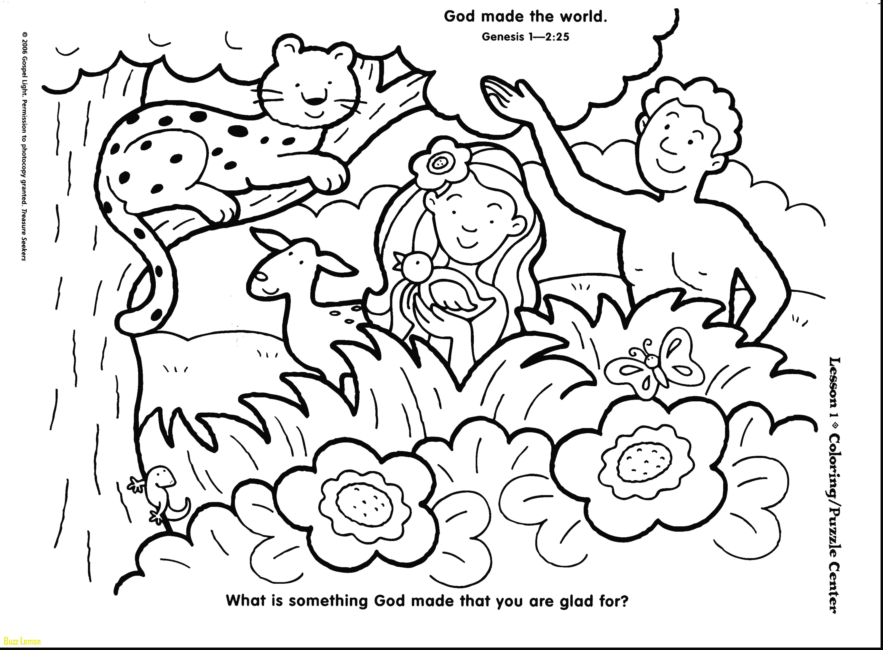 3624x2667 Elegant Creation Day 7 Coloring Page Buzz Coloring