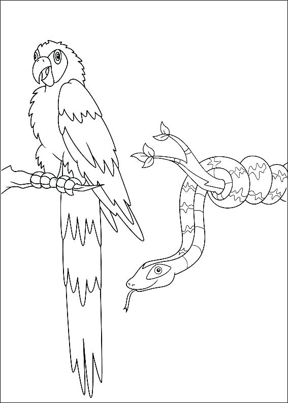 567x794 Diego Colouring Book Printable Coloring Aardvark Coloring Page