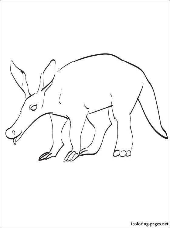 560x750 Aardvark Coloring Page Coloring Pages