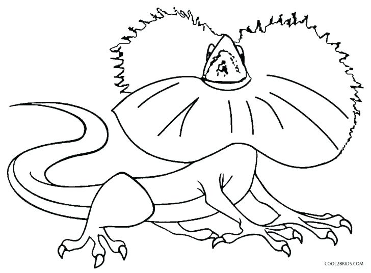 728x536 Alphabet Animal Coloring Pages Animal Alphabet Coloring Pages