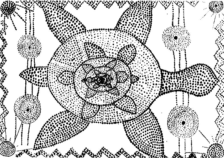 786x555 Adult Coloring Page Aboriginal Art Tortoise 2