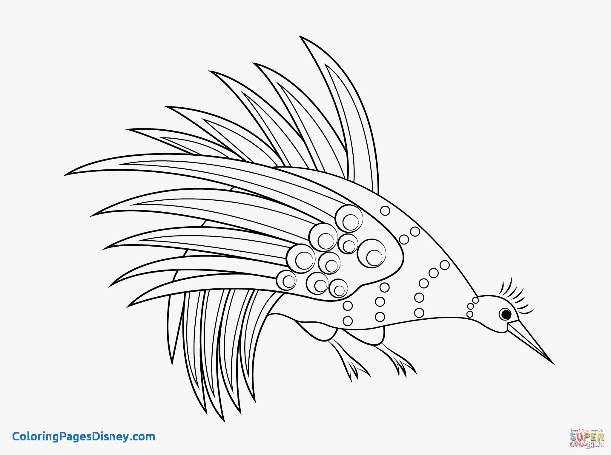 2046x1526 Aboriginal Art Coloring Pages Elegant Weird X Ray Fish Coloring