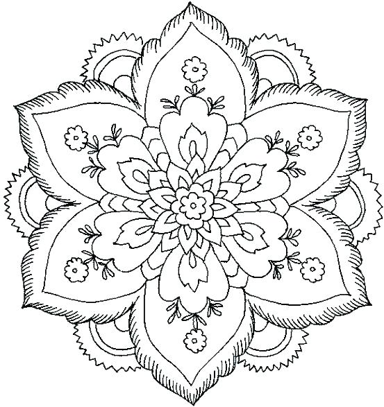 553x587 Animal Coloring Pages For Adults Plus Abstract Coloring Pages