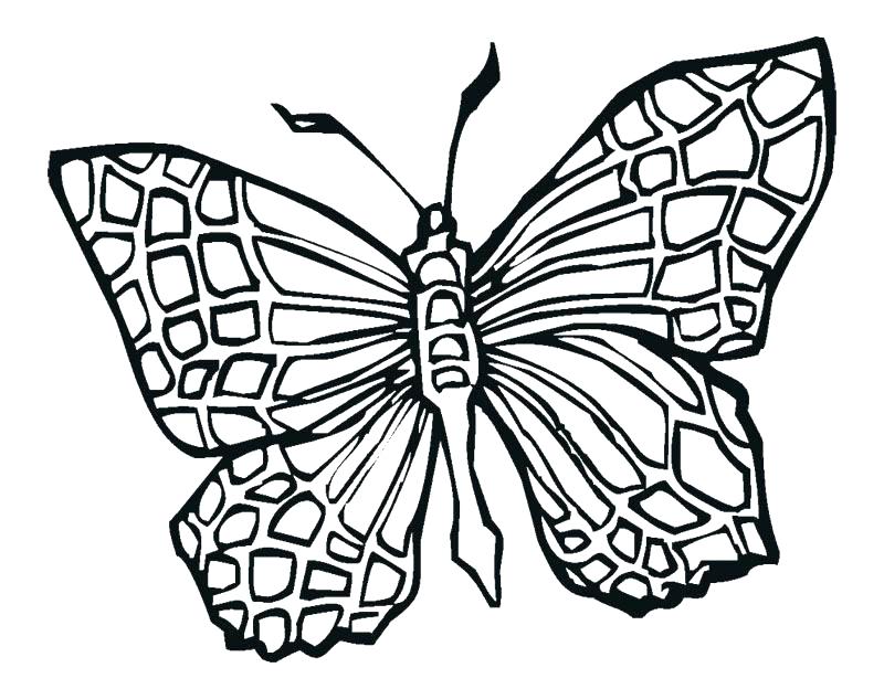 800x624 Design Coloring Page Tattoos Coloring Pages Butterfly Coloring