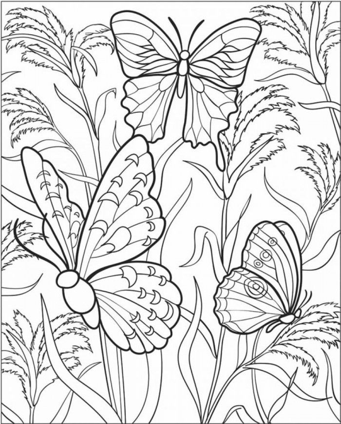 700x868 Printable Difficult Coloring Pages