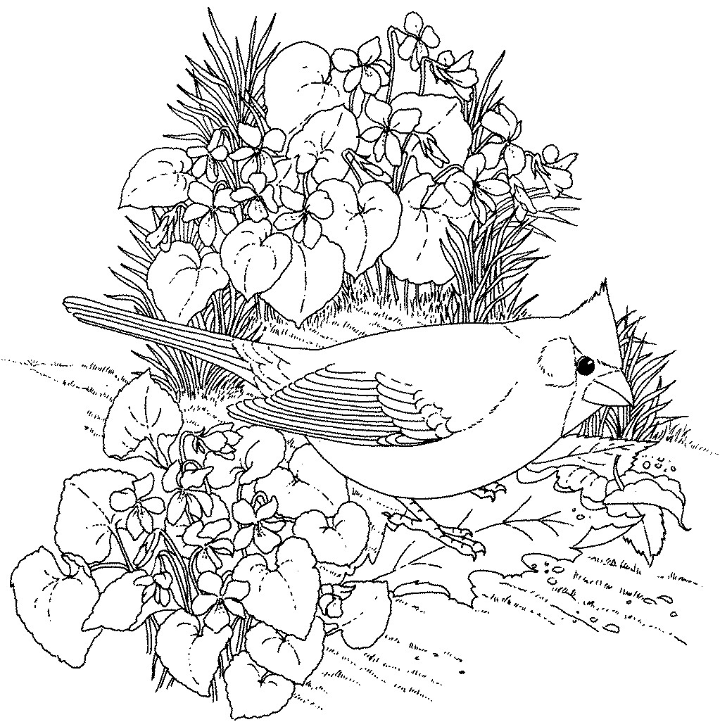 1023x1026 Amazing Free Printable Flower Coloring Pages For Adults