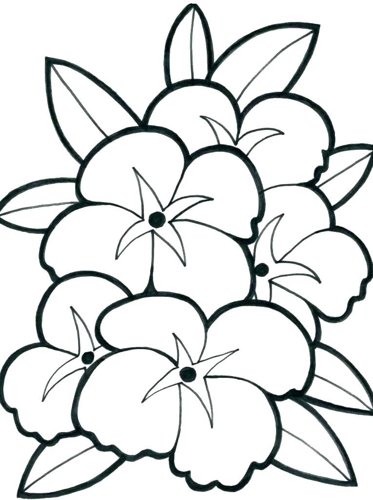765x1024 Cool Flower Coloring Pages Flower Coloring Pages For Kids Lotus