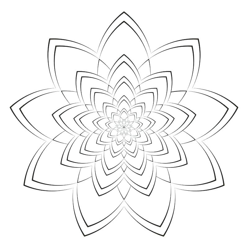 800x800 Abstract Flower Coloring Pages Intricate Flower Coloring Pages