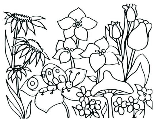 550x425 Spring Coloring Pages Spring Coloring Pages Spring Coloring Pages
