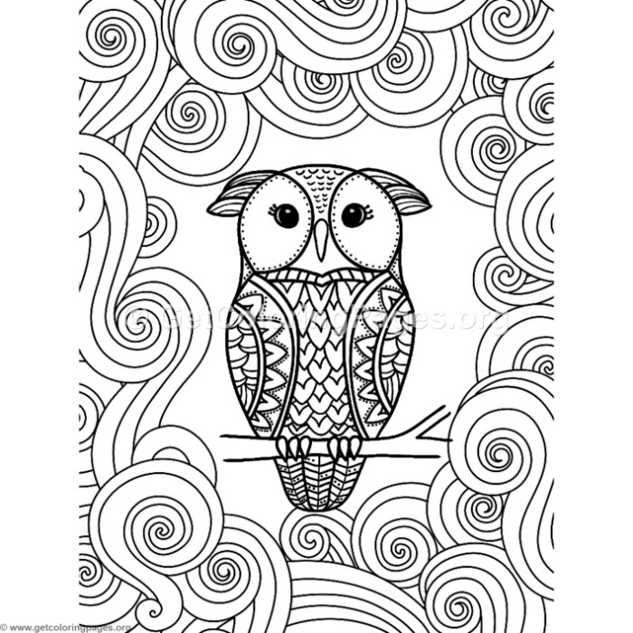 700x700 Abstract Owl Coloring Pages