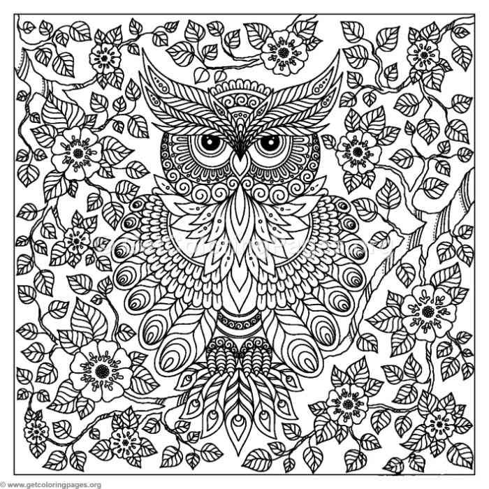 700x700 Free To Download Abstract Owl Coloring Pages Adult Coloring