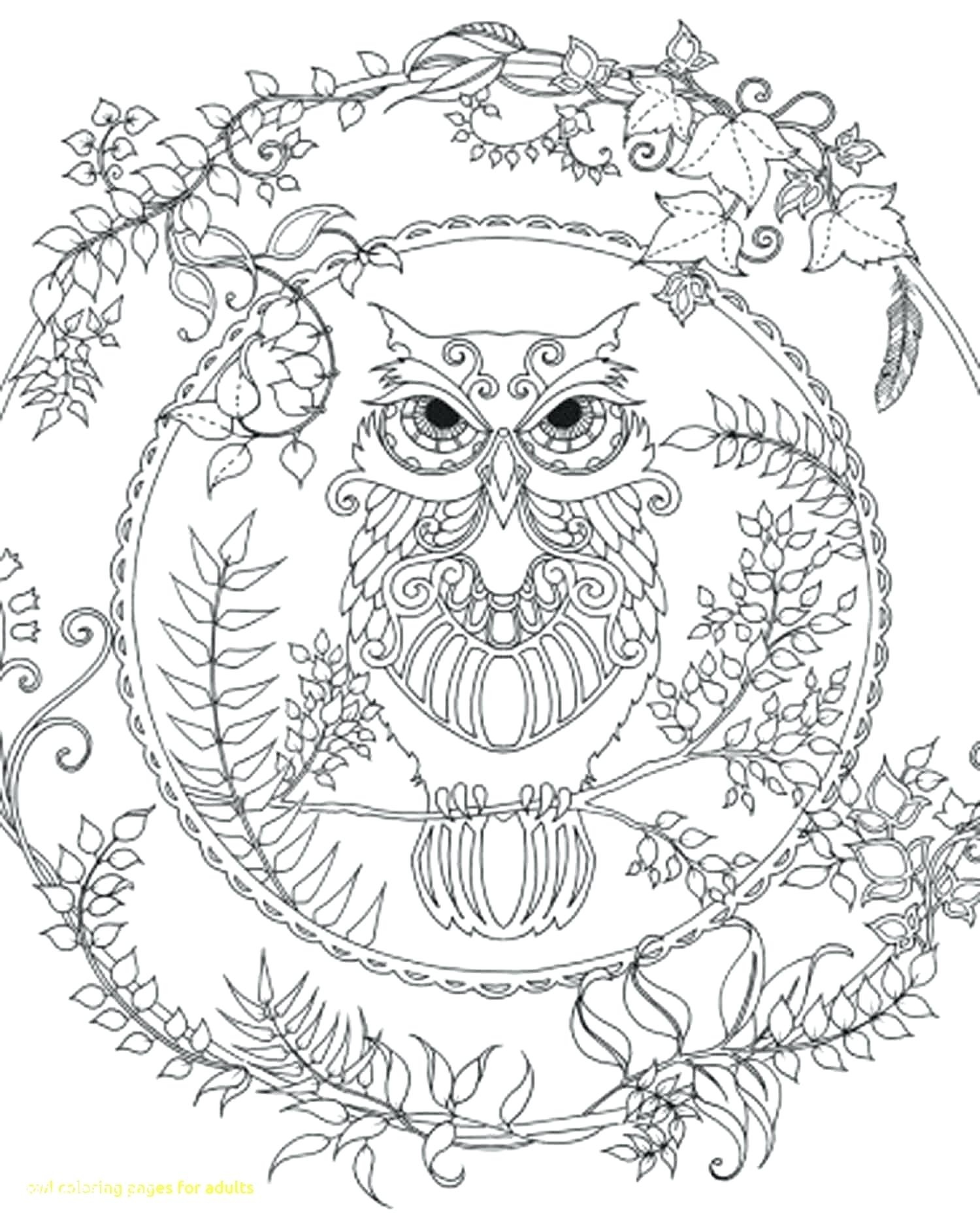 1500x1874 New Coloring Owl Coloring Barn Pages For Adults Abstract Free