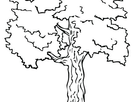 440x330 Coloring Pages Tree Fabulous Fall Trees Coloring Pages Coloring