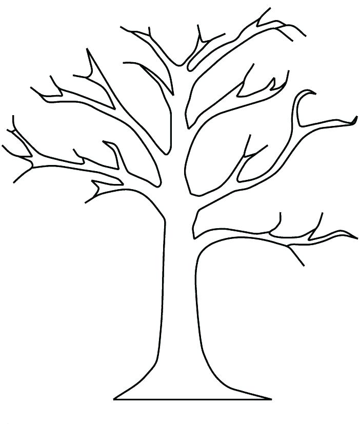 700x825 Fall Leaf Coloring Page Acacia Tree Coloring Page Fall Leaves