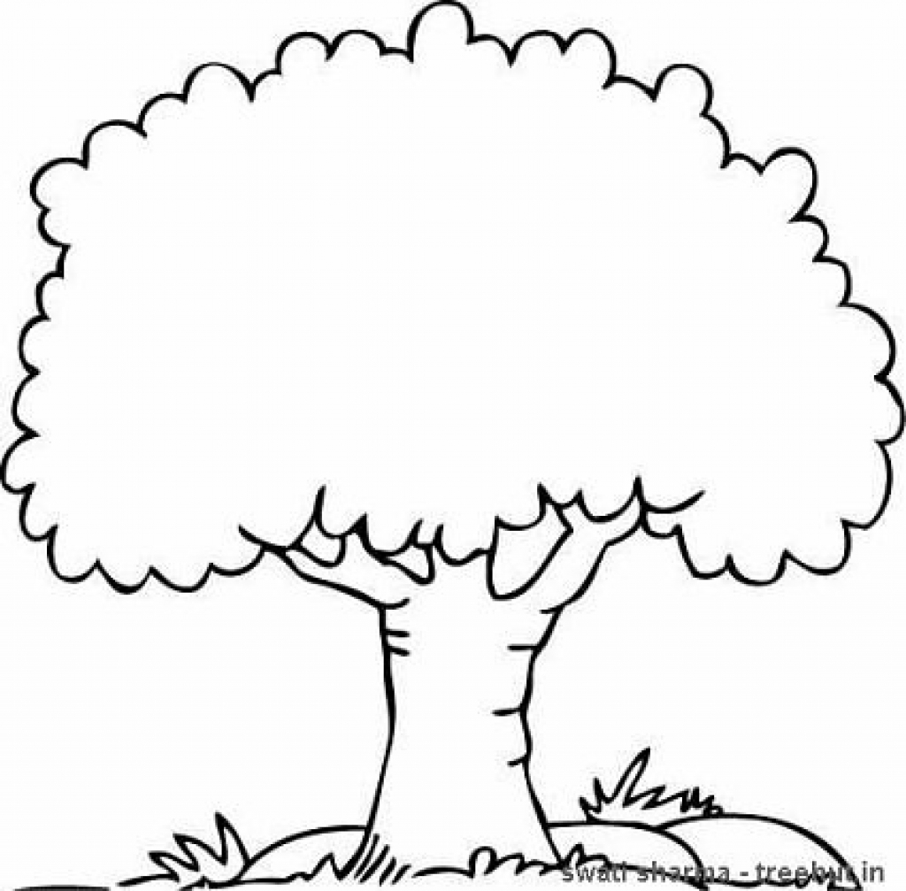 1024x1007 Strikingly Design Ideas Tree Coloring Pages For Adults With Roots