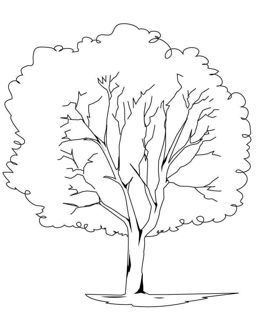 820x1060 Tree Coloring Page Elegant Free Printable Tree Coloring Pages