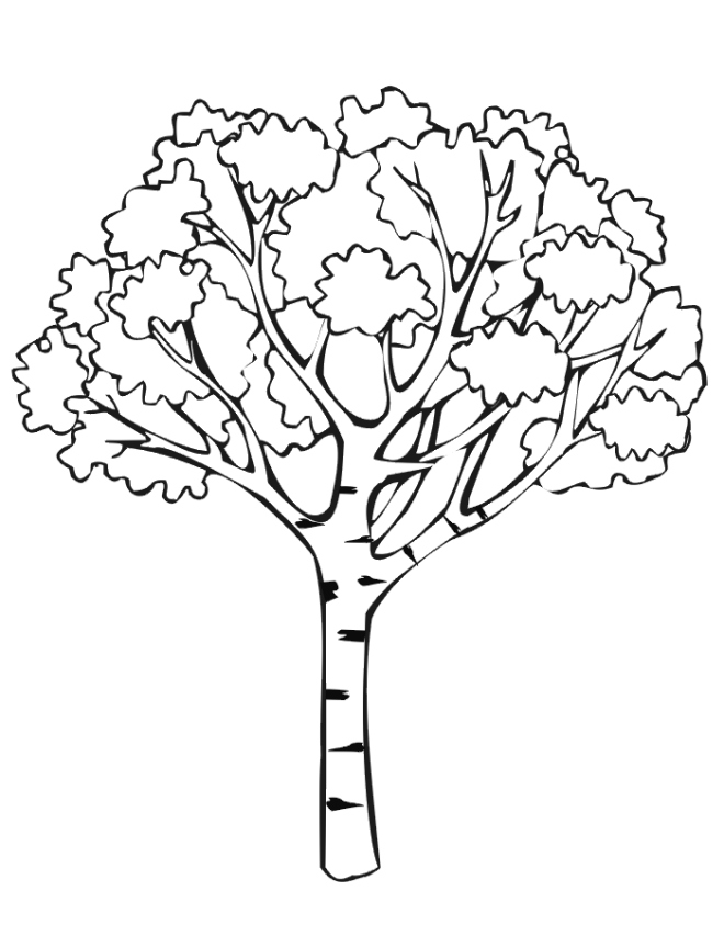 660x853 Tree Coloring Pages Fresh Free Coloring Pages Of Tree Roots Logo