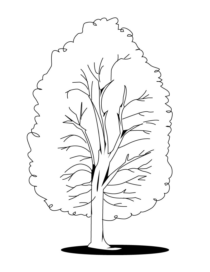 820x1060 Tree Coloring Pages New Acacia Tree Coloring Page Coloring Pages
