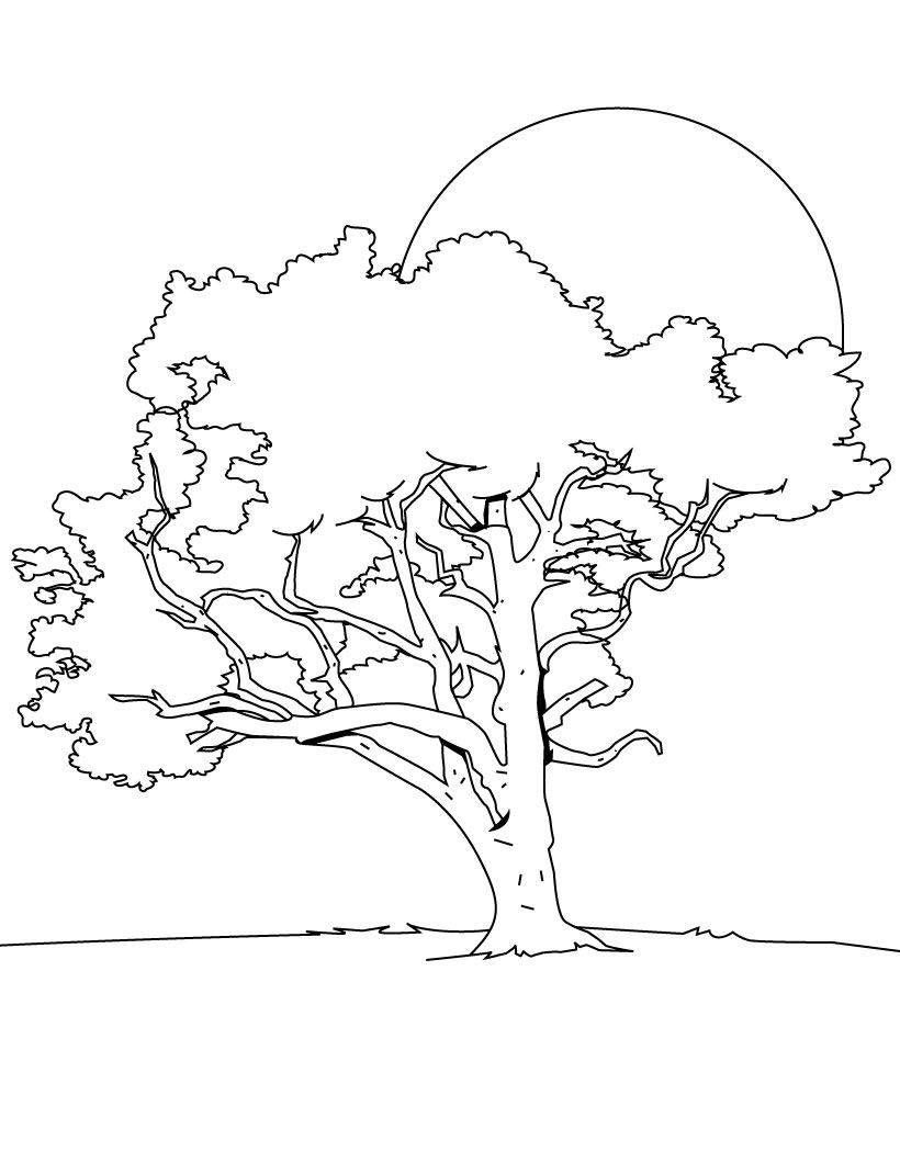 820x1060 Tree Coloring Pages Unique Tree Coloring Pages Logo And Design Ideas
