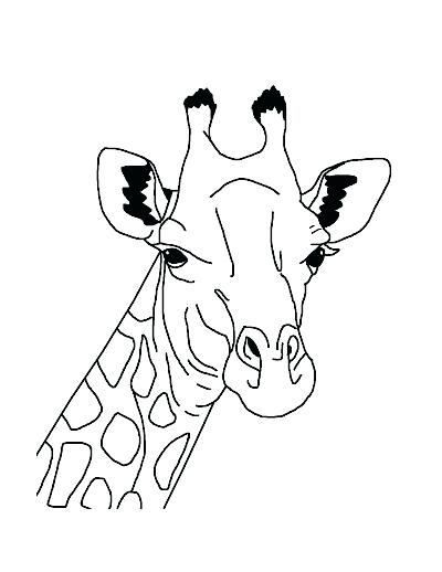 400x518 Acacia Tree Coloring Page