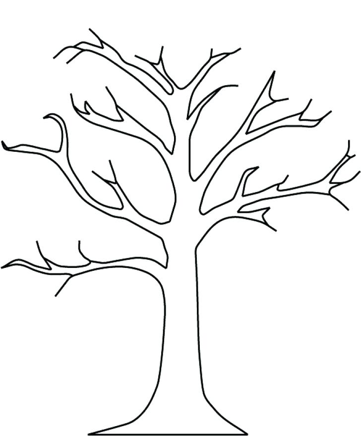 728x885 Apple Tree Coloring Page With Wallpapers Acacia Tree Coloring Page