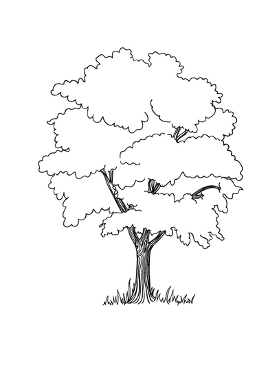406x532 Apple Tree Amp Coloring Book